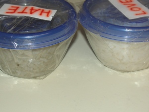 4 Sons 'R' Us: Emoto's Rice Experiment