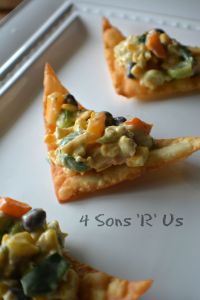 Southwestern Egg Roll Dip with Wonton Chips 2